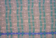 The three-layer net