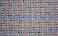 The three-layer net
